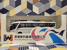 Load image into Gallery viewer, 63701 Shum Kong Wing Lee Scania K410IB4X2 single-deck coach with Marcopolo Audace (TX2919)
